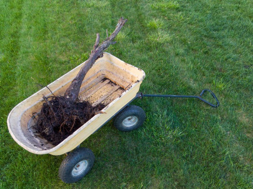 A Wheelbarrow Filled With Dirt and a Tree Stump — Quality Lawns and Gardens in Lake Macquarie, NSW