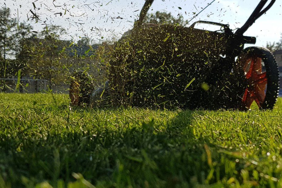 A Person is Mowing a Lush Green Lawn — Quality Lawns and Gardens in Port Stephens, NSW