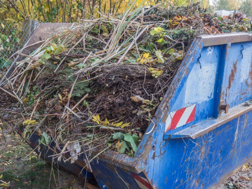 A Blue Dumpster Filled With Branches — Quality Lawns and Gardens in Newcastle, NSW