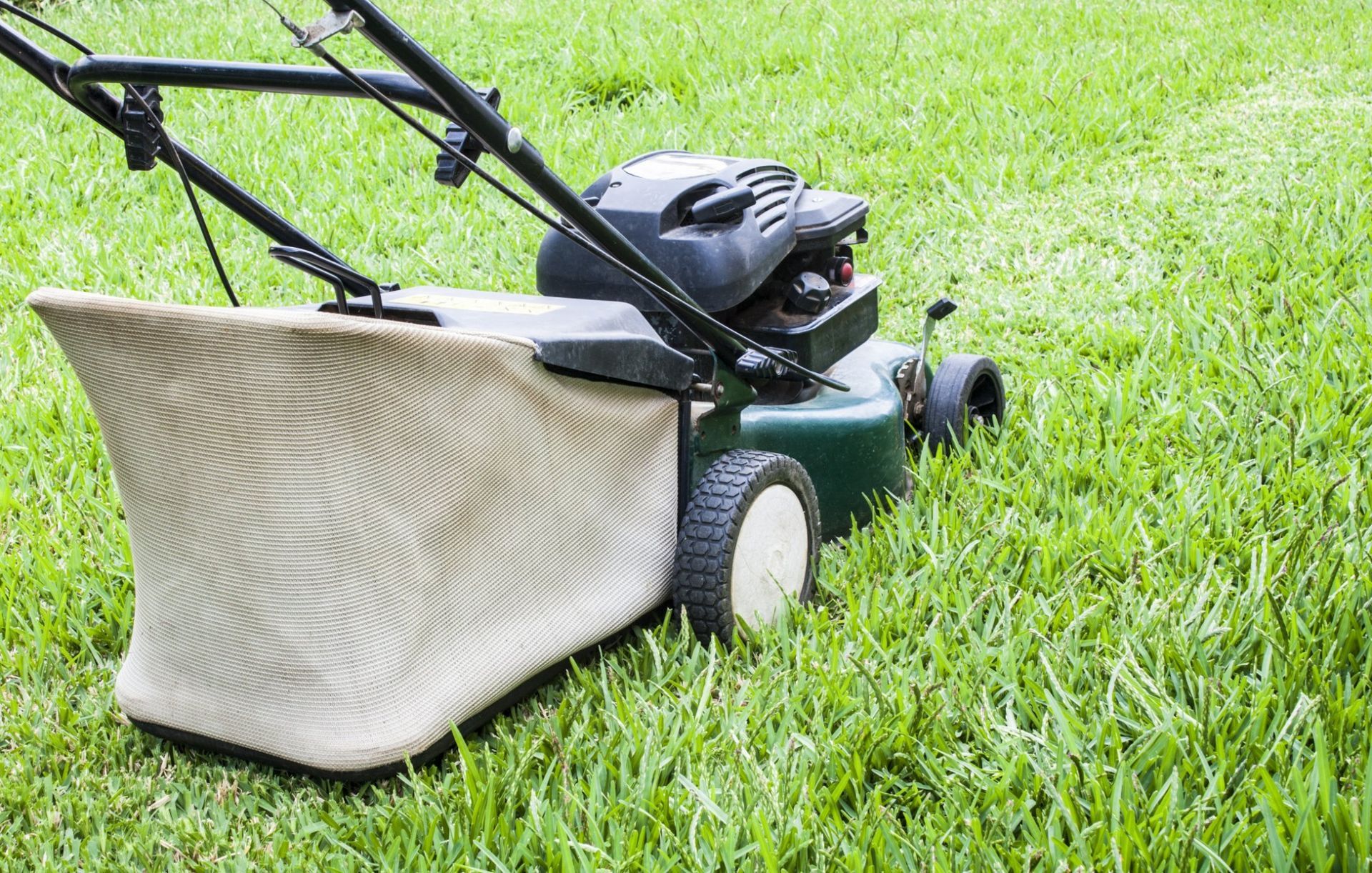 A Lawn Mower is Cutting a Lush Lawn — Quality Lawns and Gardens in Newcastle, NSW