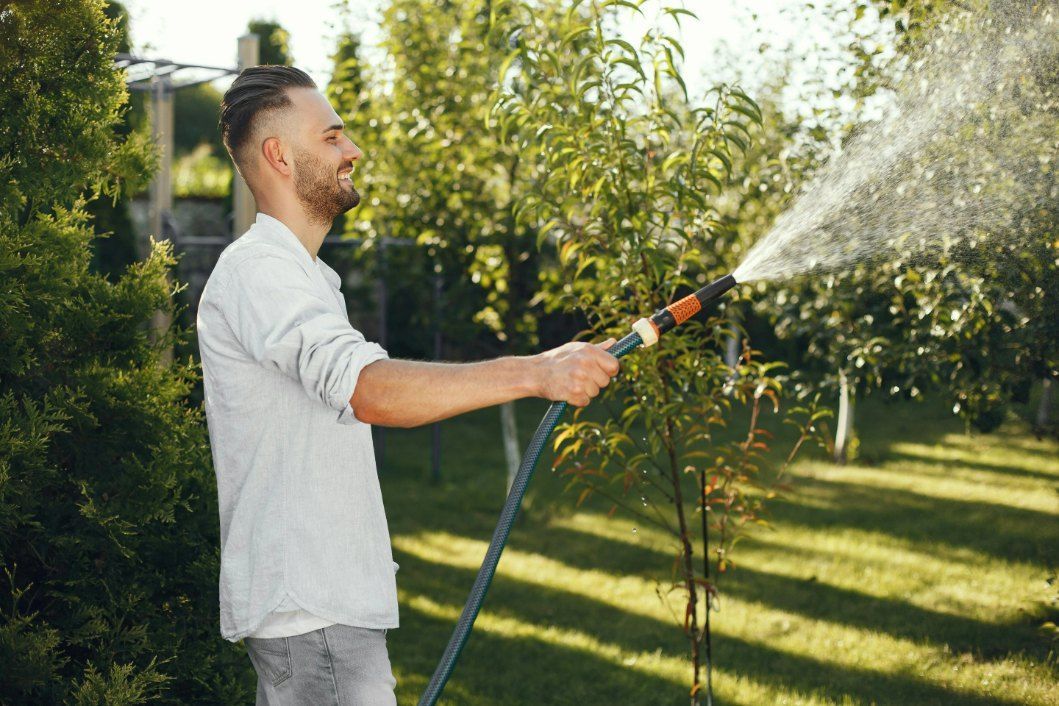 A Man is Watering Trees With a Hose — Quality Lawns and Gardens in Raworth, NSW
