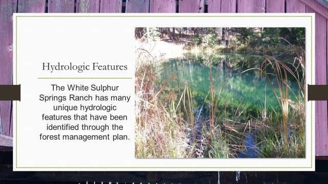 The white sulphur springs ranch has many unique hydrologic features that have been identified through the forest management plan.