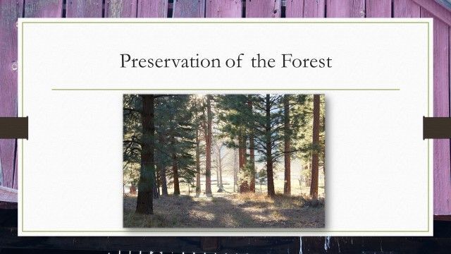 A picture of a forest with the words preservation of the forest