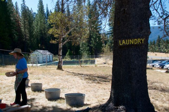 A woman is standing in front of a laundry sign on a tree.