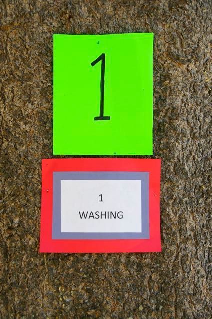 A green card with the number 1 on it