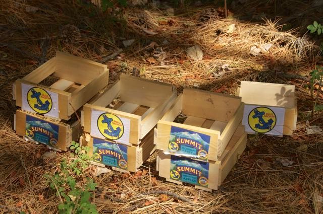 Four wooden boxes with the word summit on them