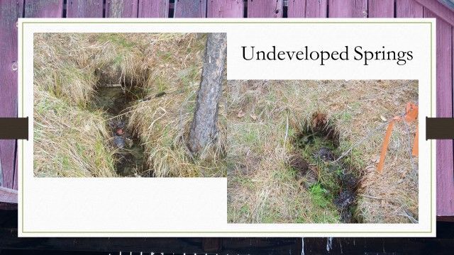 A sign that says undeveloped springs on it