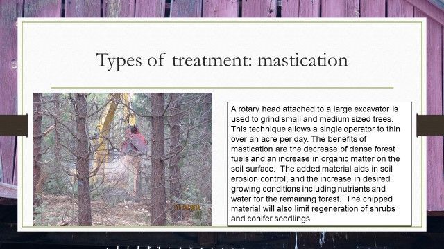 Types of treatment : mastication a rotary head attached to a large excavator is used to grind small and medium sized trees