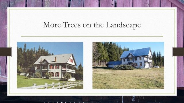 A sign that says more trees on the landscape