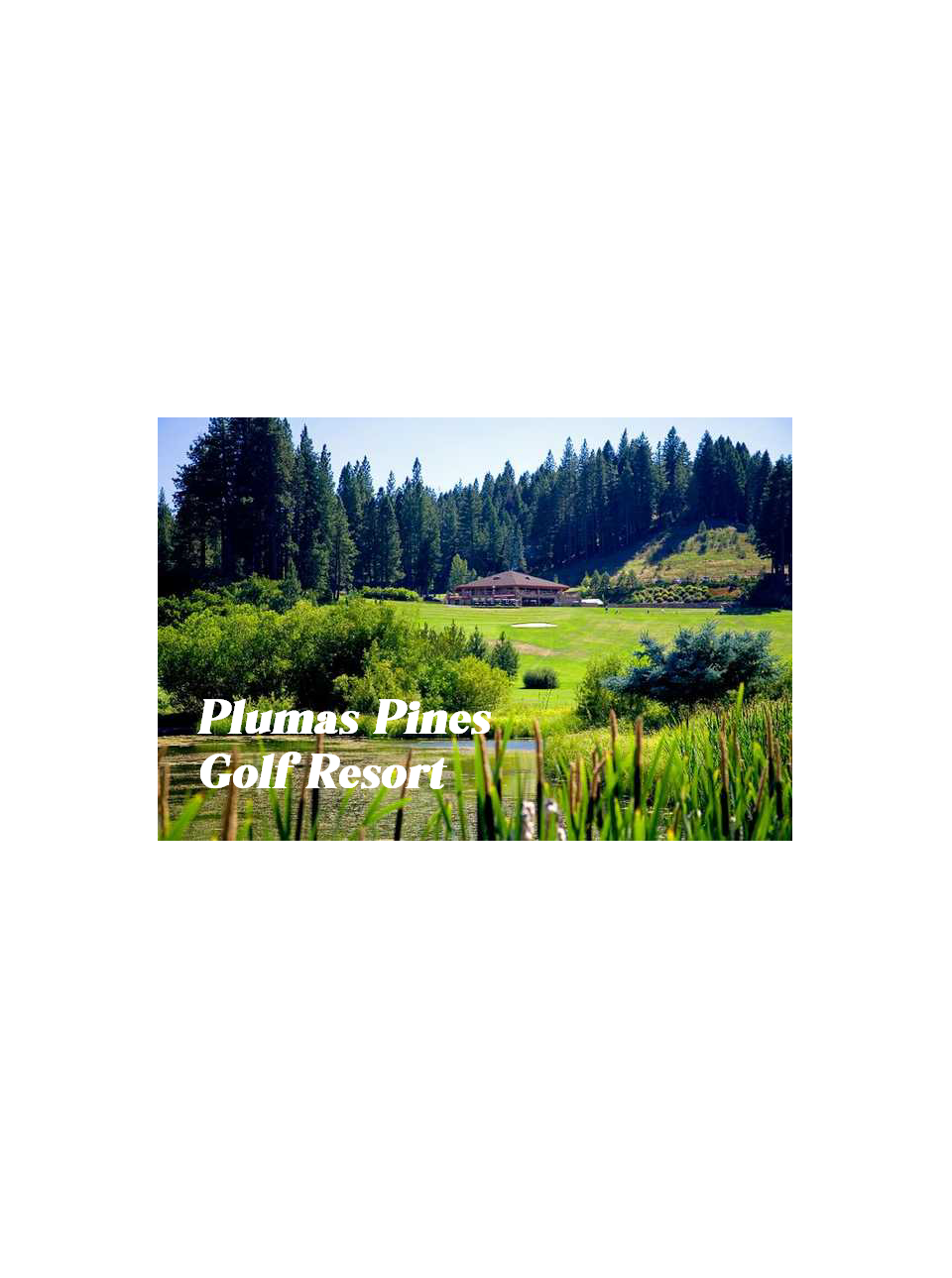 A picture of a golf course with trees in the background.
