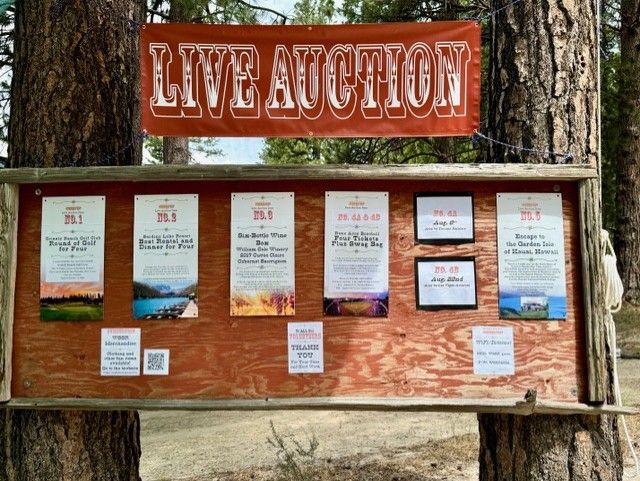 A live auction sign is attached to a tree