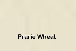 a white background with the words prairie wheat written on it .