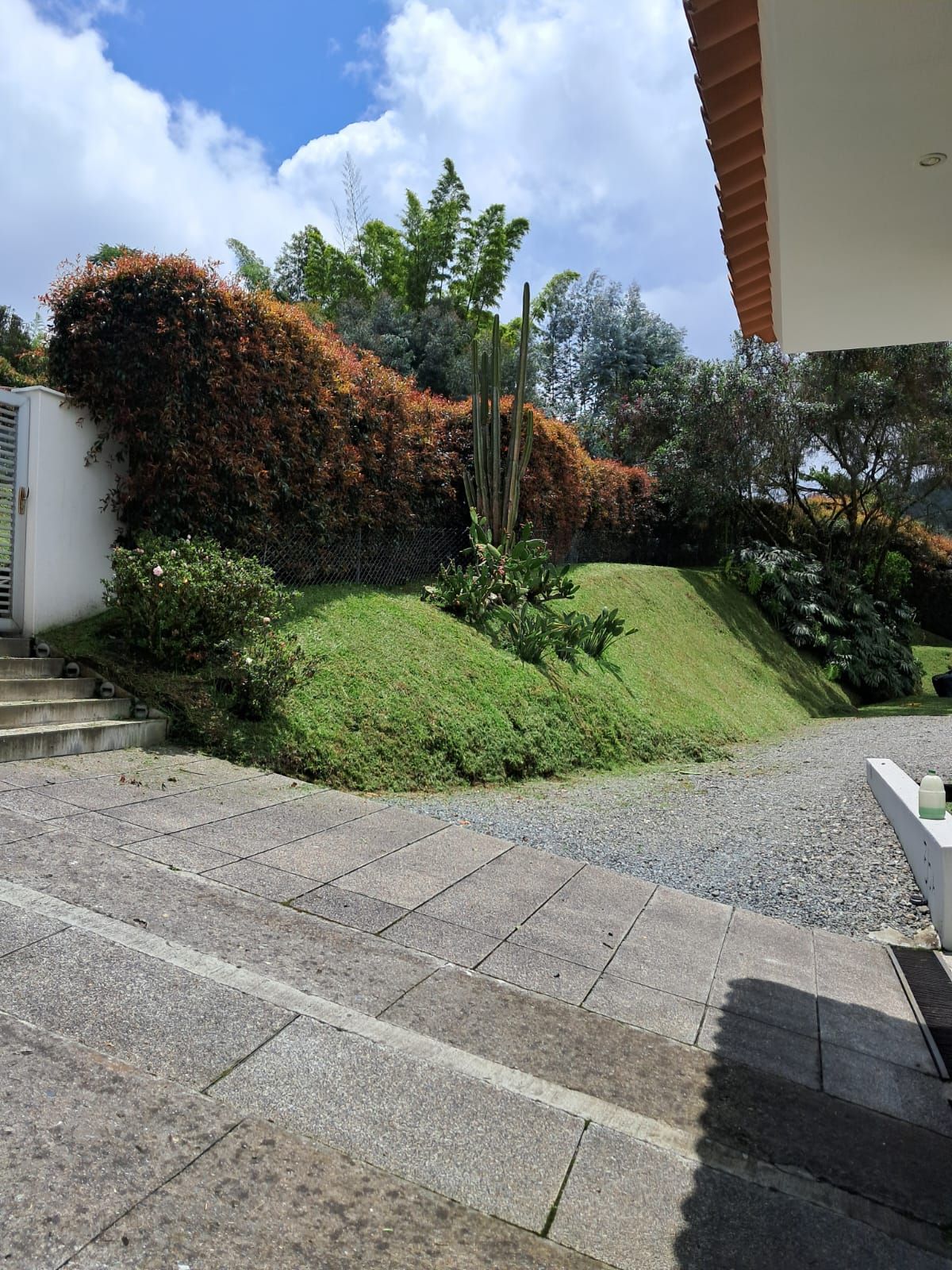 Jardín paisajístico en pendiente junto a un patio pavimentado, con arbustos verdes, un seto alto y un cielo nublado.