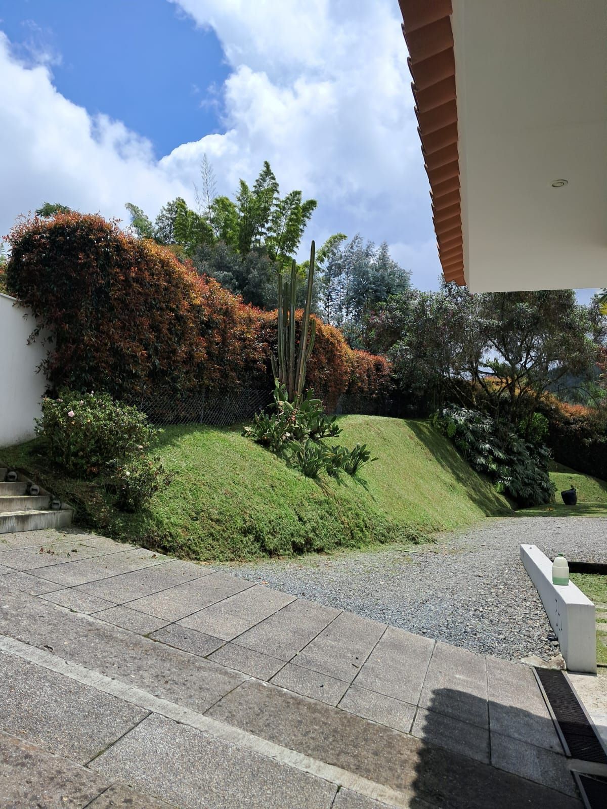 Ladera ajardinada junto a un sendero pavimentado, con densos arbustos verdes bajo un cielo parcialmente nublado.