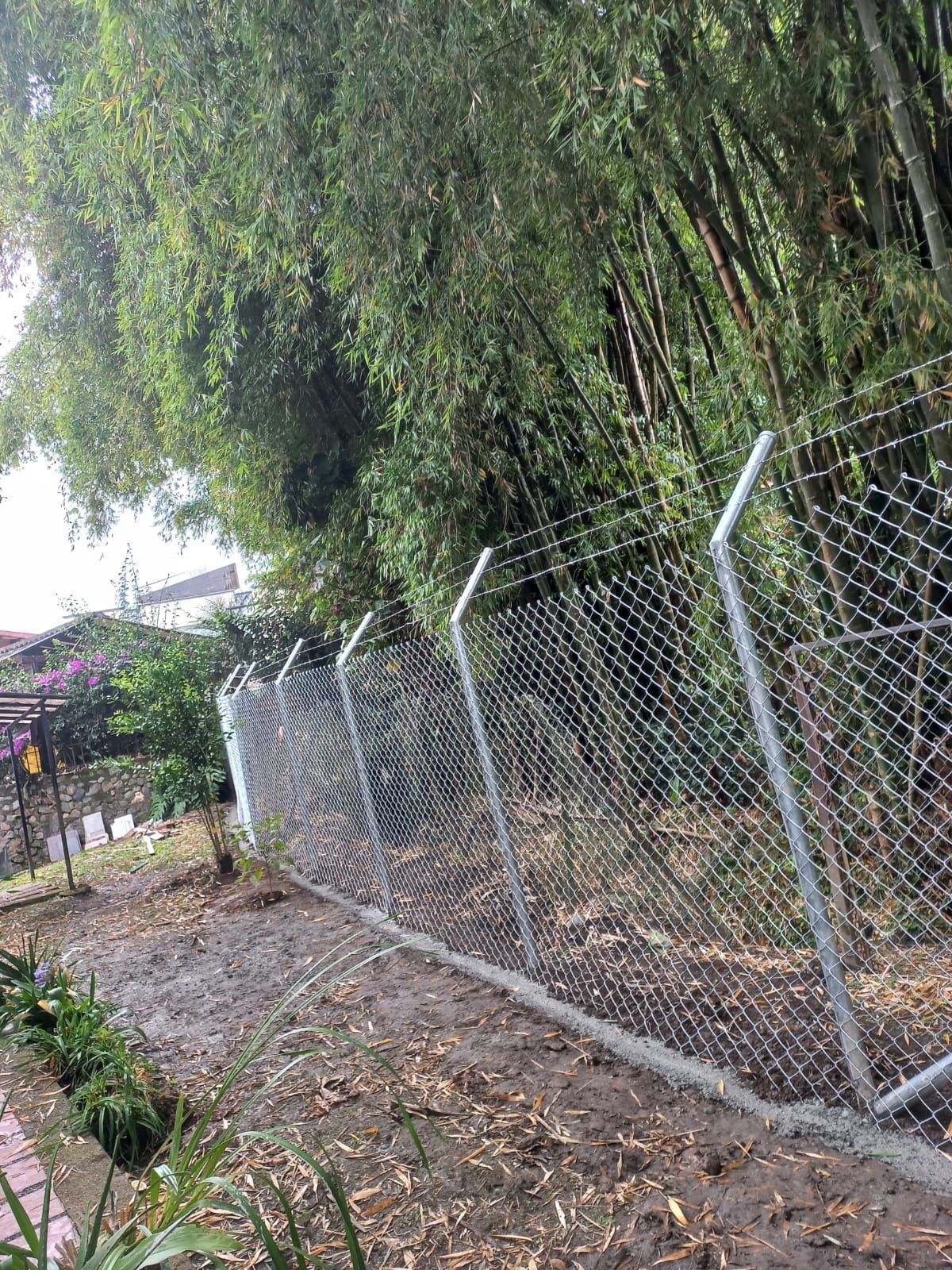 Una valla de tela metálica junto a un sendero embarrado bajo densos árboles y vegetación.