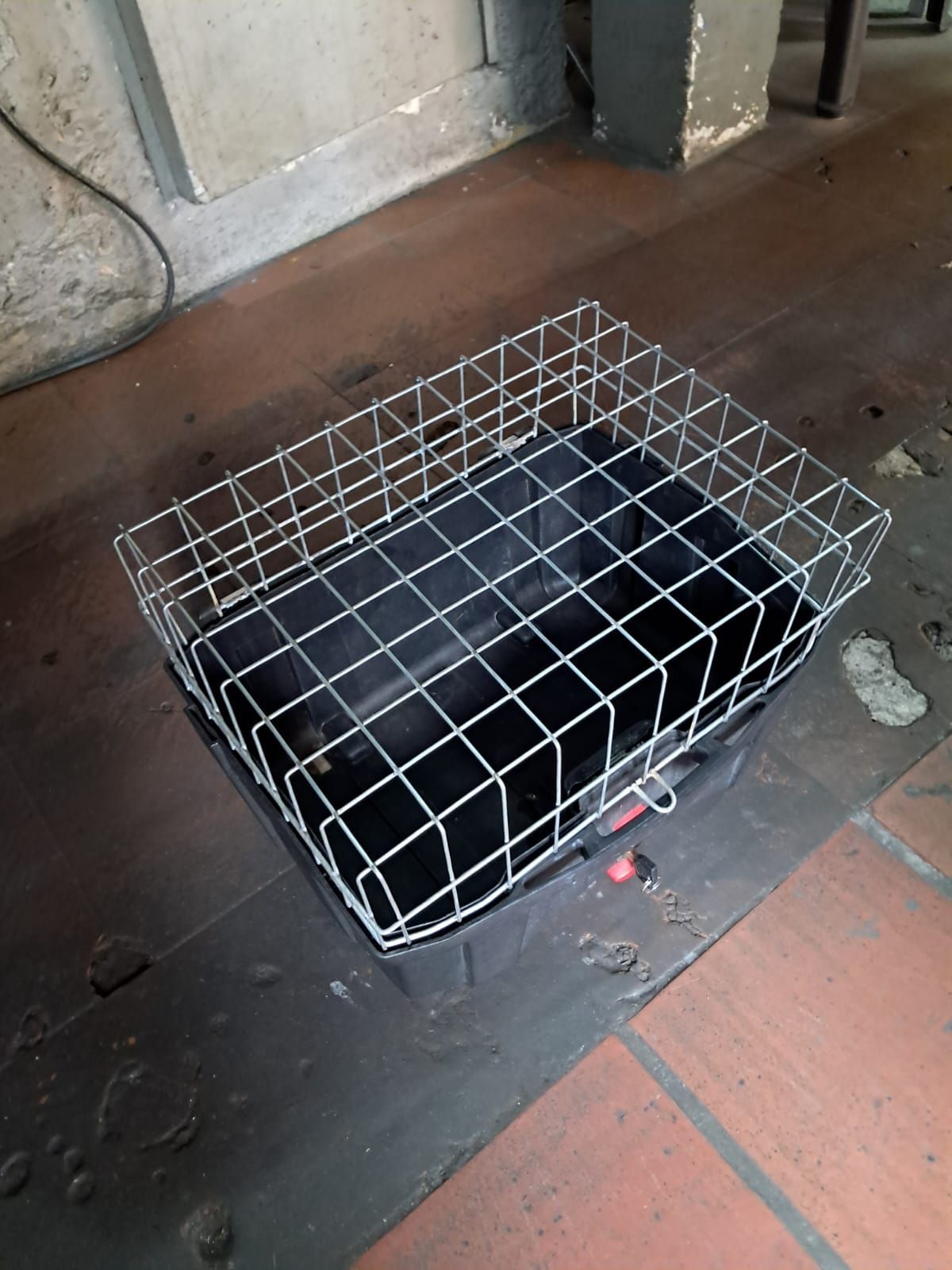 Gato negro dentro de una jaula de alambre sobre un suelo de baldosas en el interior de una vivienda.