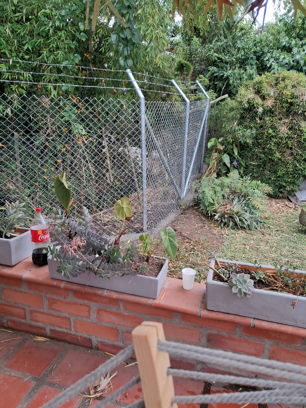 Pequeño jardín trasero con jardineras elevadas, valla de tela metálica y sillas de exterior cerca de un patio de ladrillos.