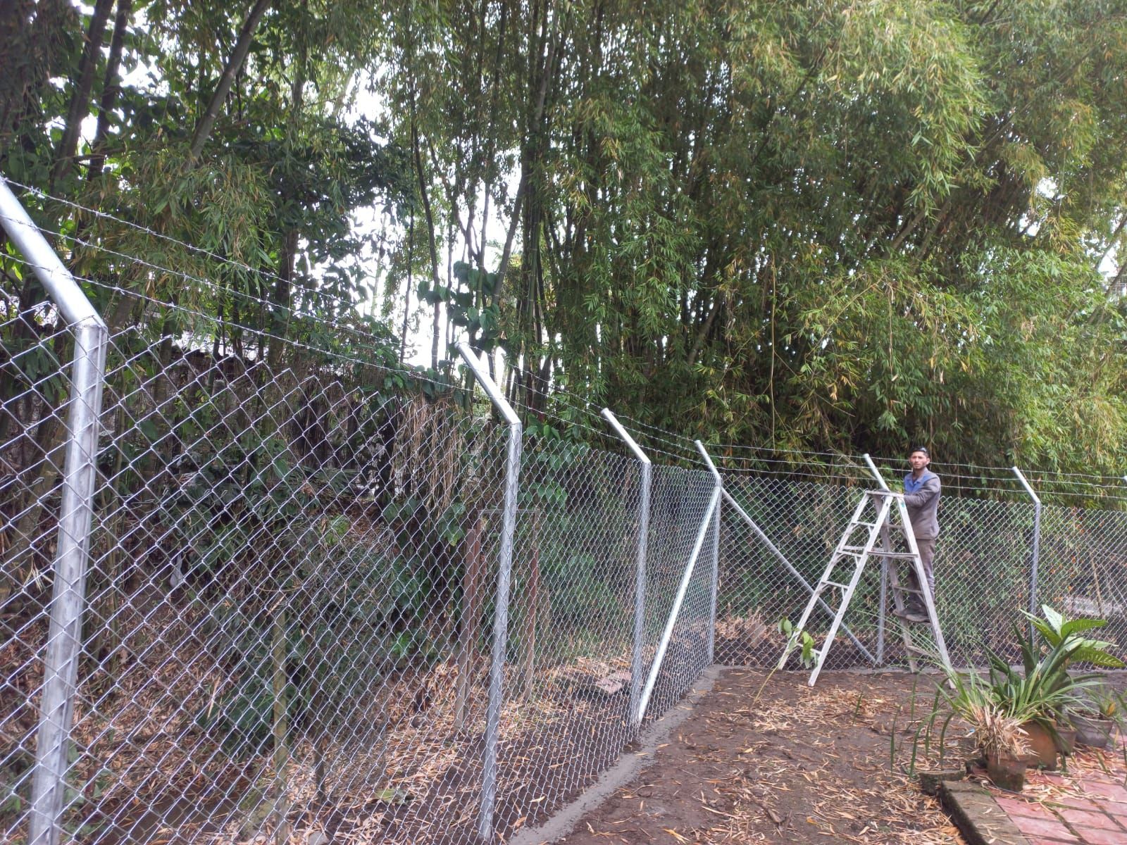 Una persona en una escalera repara una cerca de alambre junto a una zona boscosa.