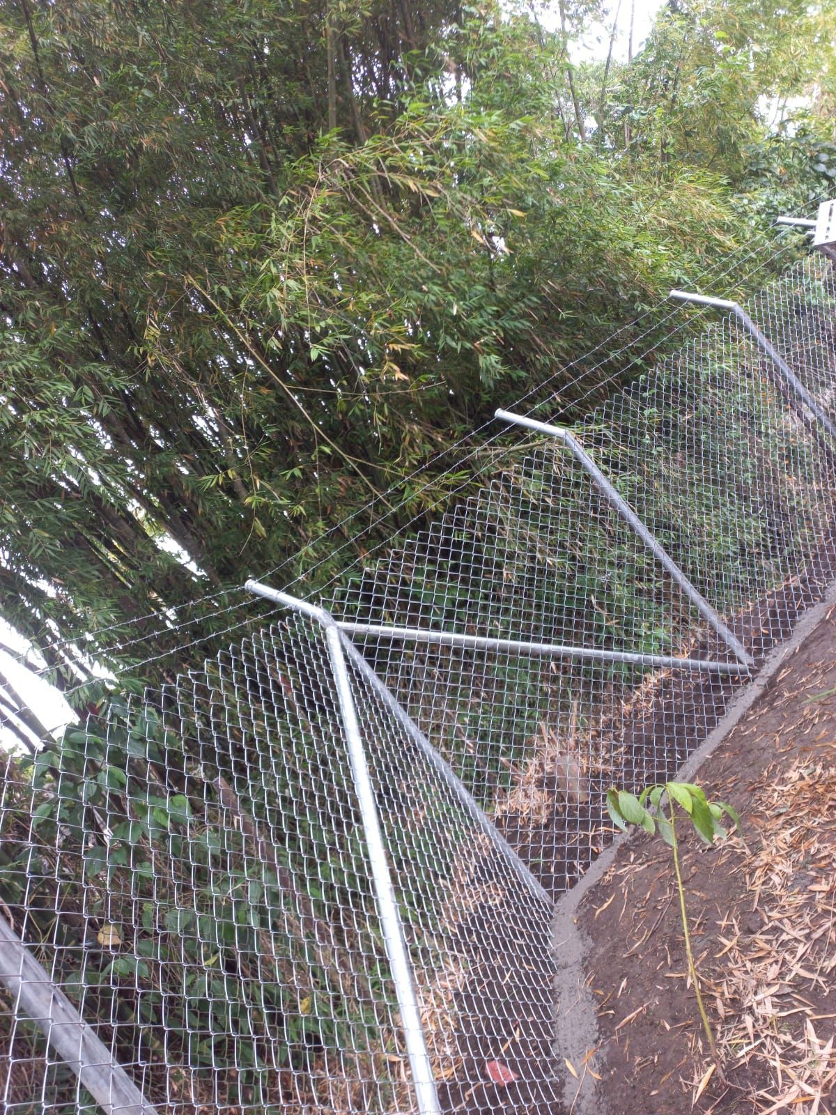 Valla de tela metálica inclinada a lo largo de un camino arbolado con postes metálicos ladeados y vegetación crecida.