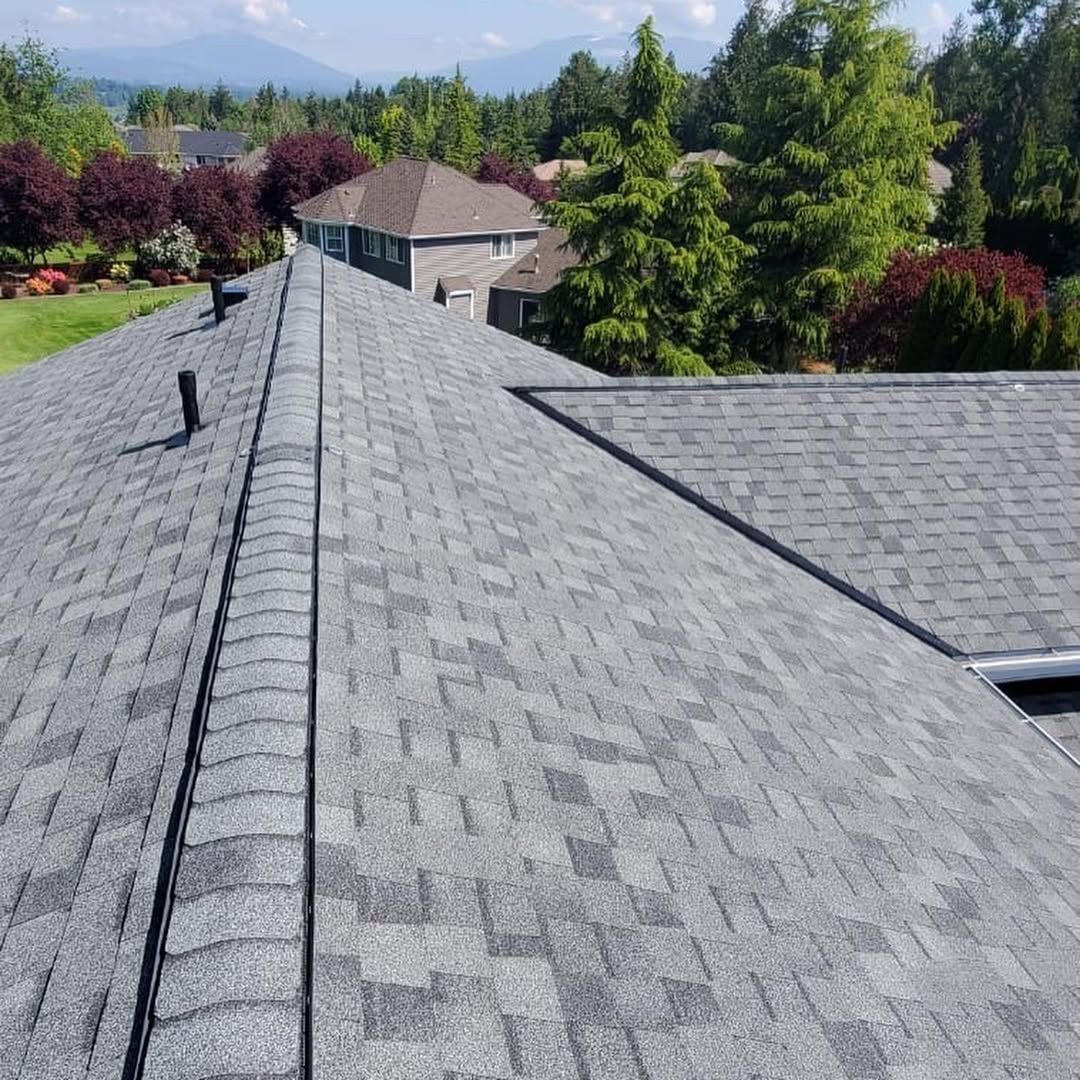 An aerial view of a roof of a house with trees in the background.