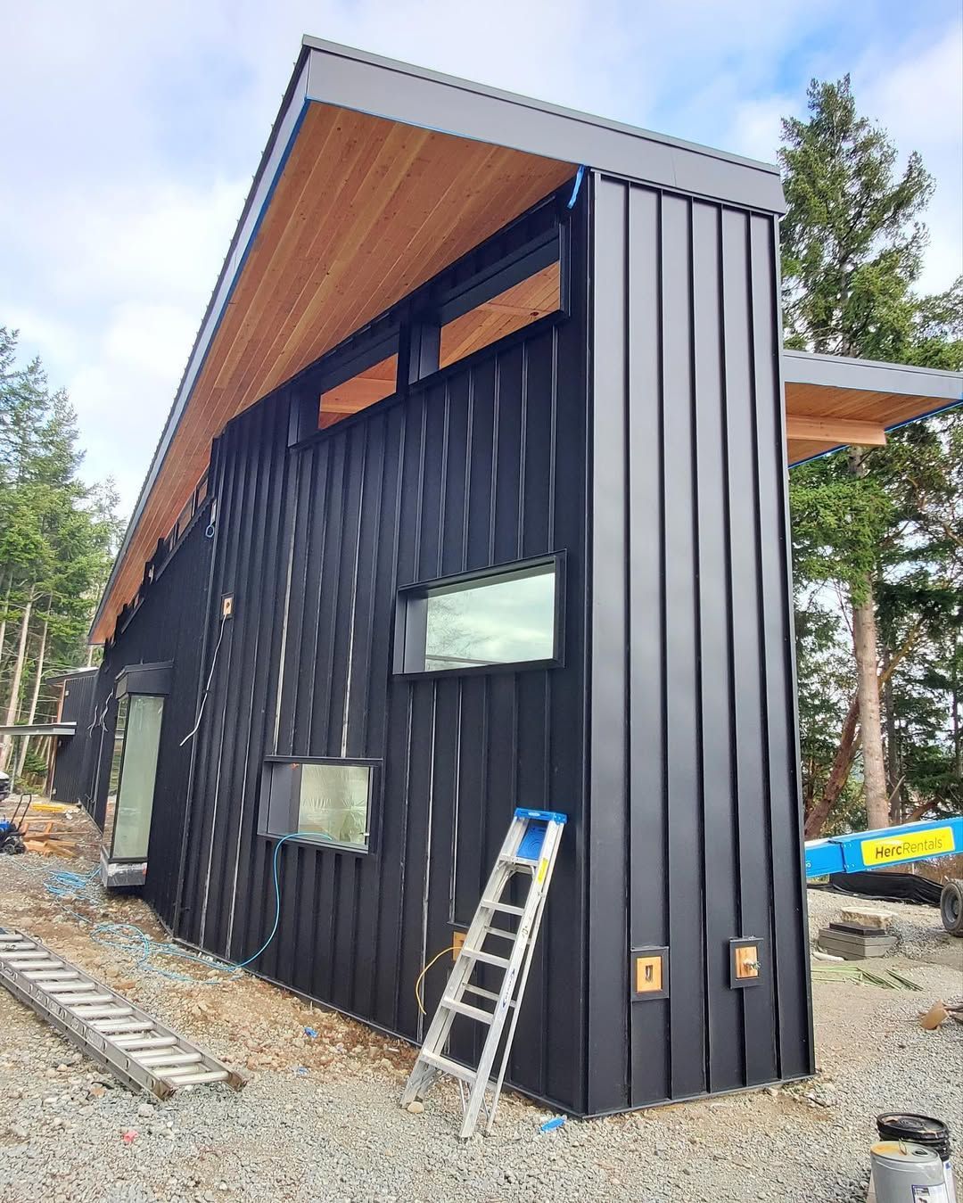 A black house with a ladder on the side of it.