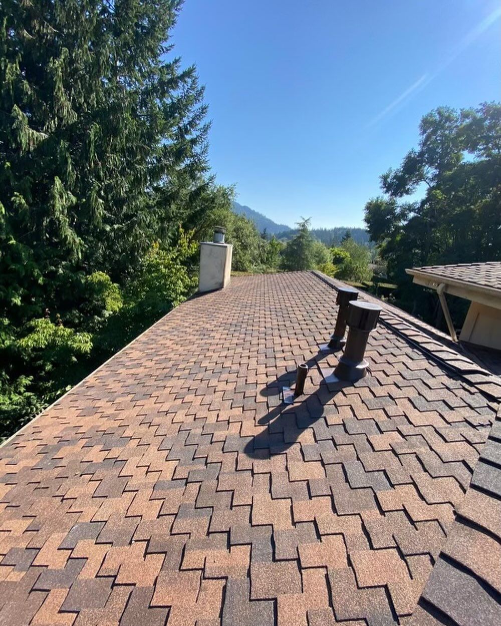 A person is standing on the roof of a house.