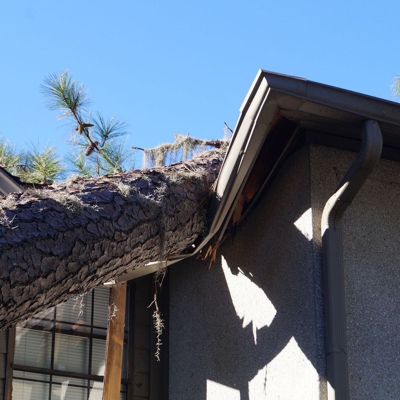 A tree that has fallen on the roof of a house