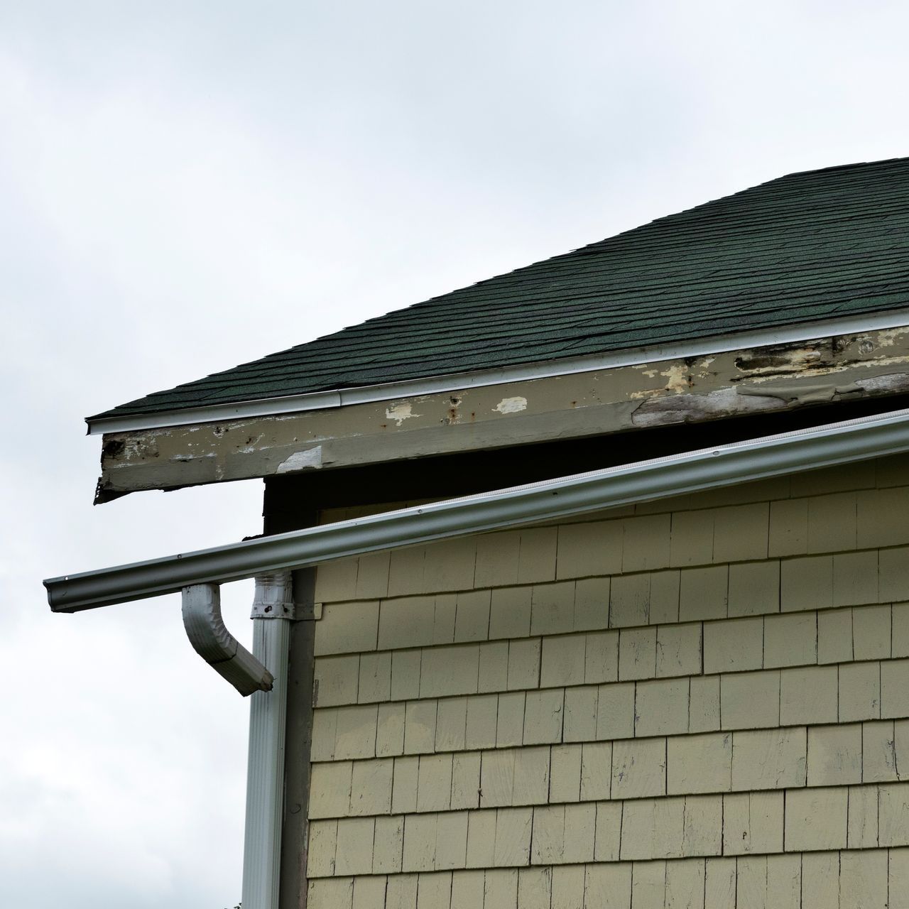 A gutter is detached from the side of a house with a green roof