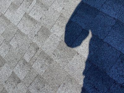Shadow of a person on gray roof shingles, with blue-tinted shadow on the right