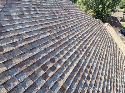 Close-up of a gray shingled roof with a diagonal view of trees in the background