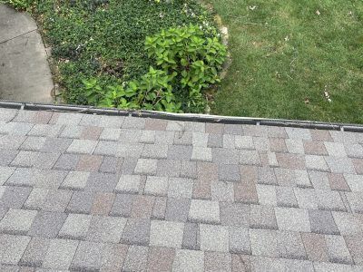 Gray shingle roof edge beside a green shrub, lawn, and concrete walkway