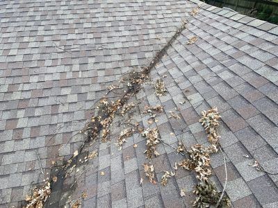 Damaged shingle roof with dark stains and debris along a diagonal seam