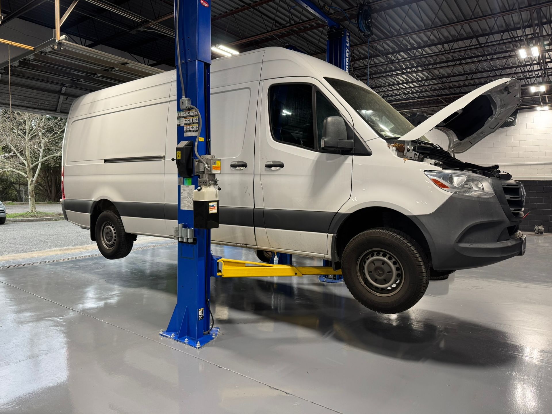 Sprinter