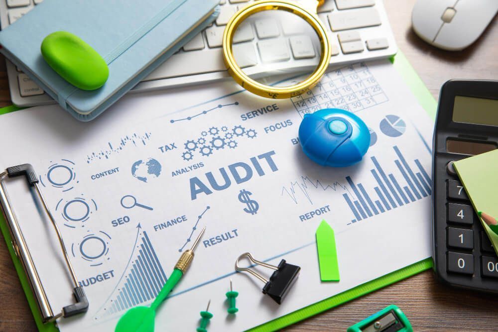 Audit business charts objects graphs