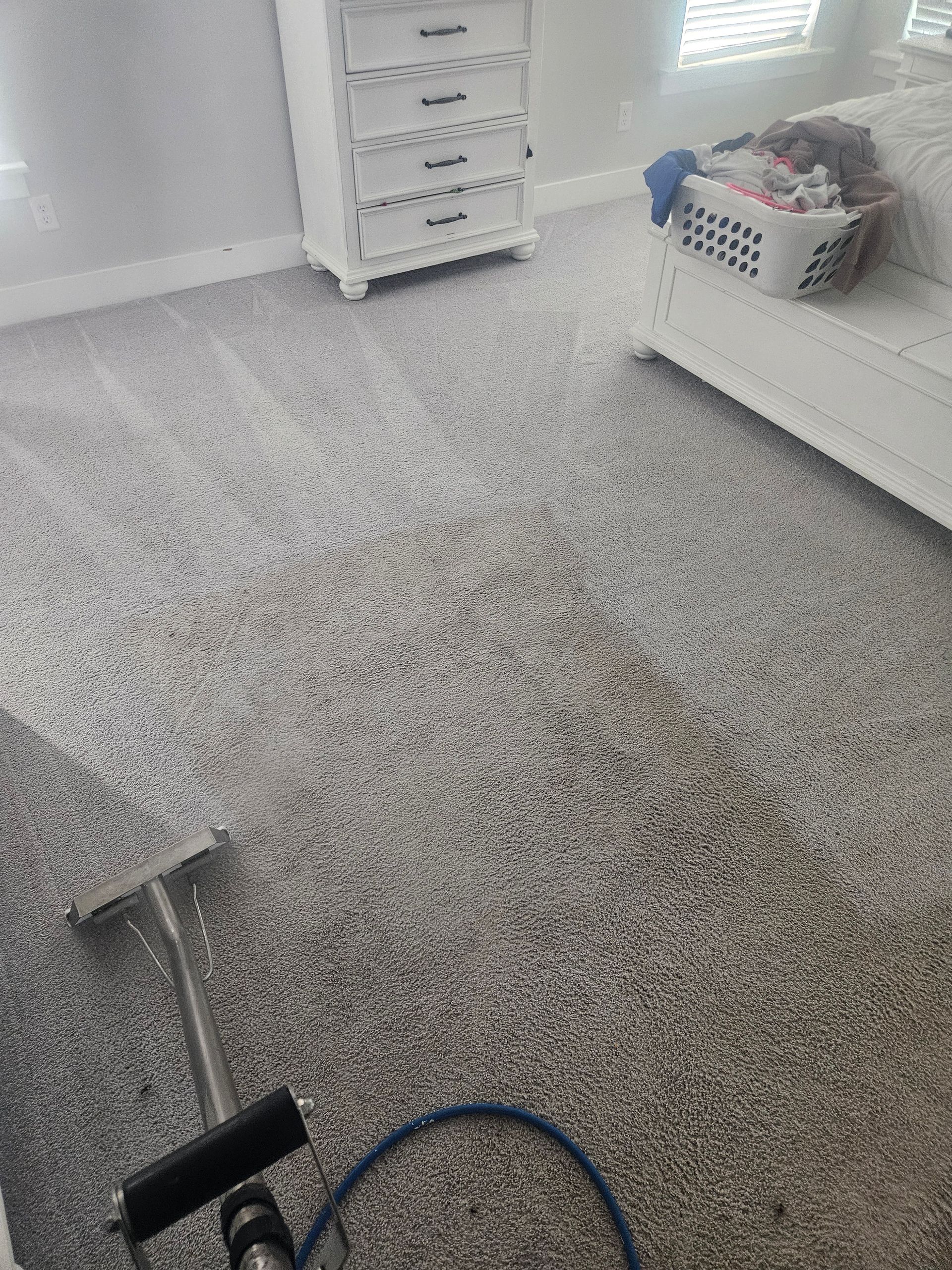 Vacuum cleaner cleaning a beige carpet, leaving a clean path.
