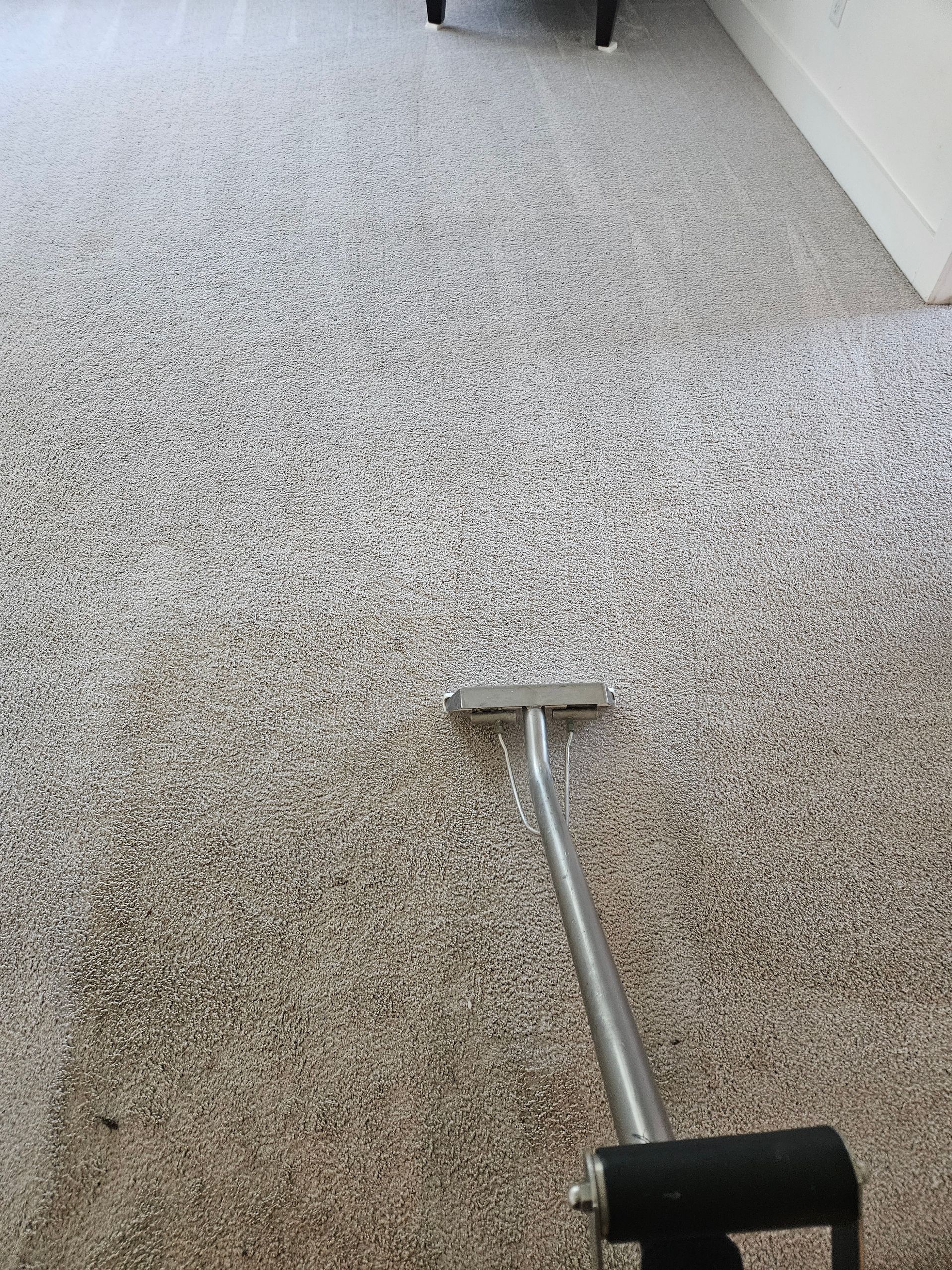 Vacuum cleaner cleaning a green carpet, showing a clean path.