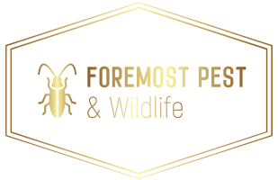foremost pest and wildlife logo