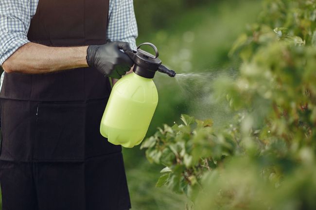 Man spraying insecticide on wooden porch floor near a wooden post.