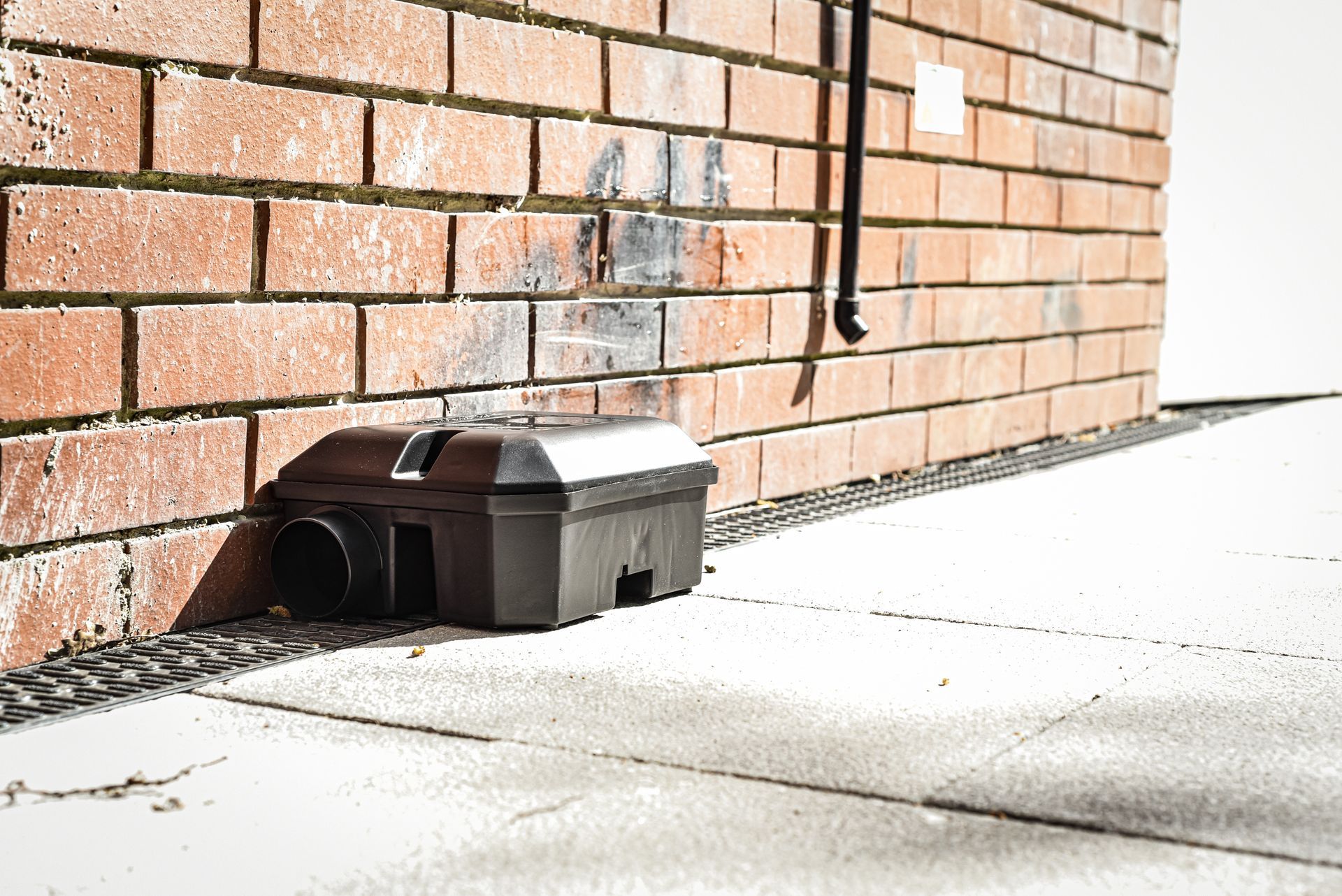Black rodent bait station on concrete next to brick wall.