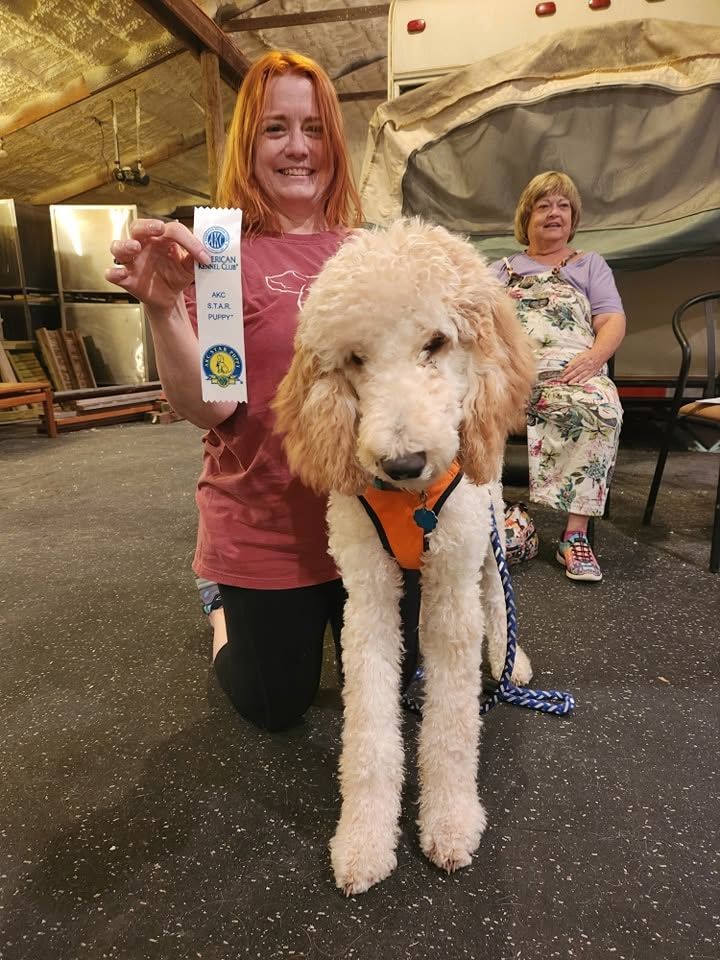 Woman kneeling beside a fluffy white dog, holding a ribbon at an indoor event