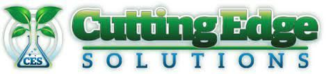 A logo for cutting edge solutions with a palm tree in the background