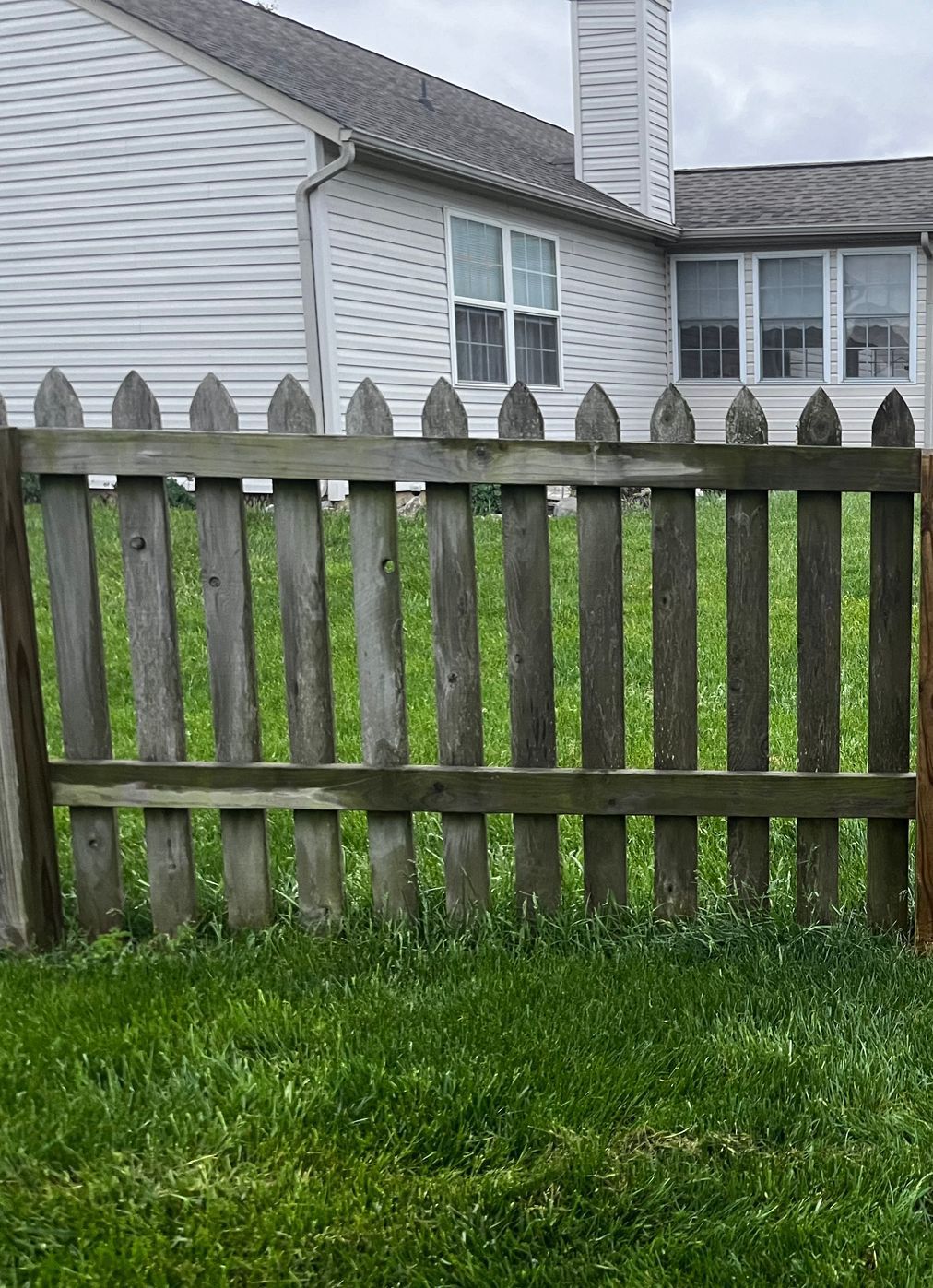 pressure washing fence