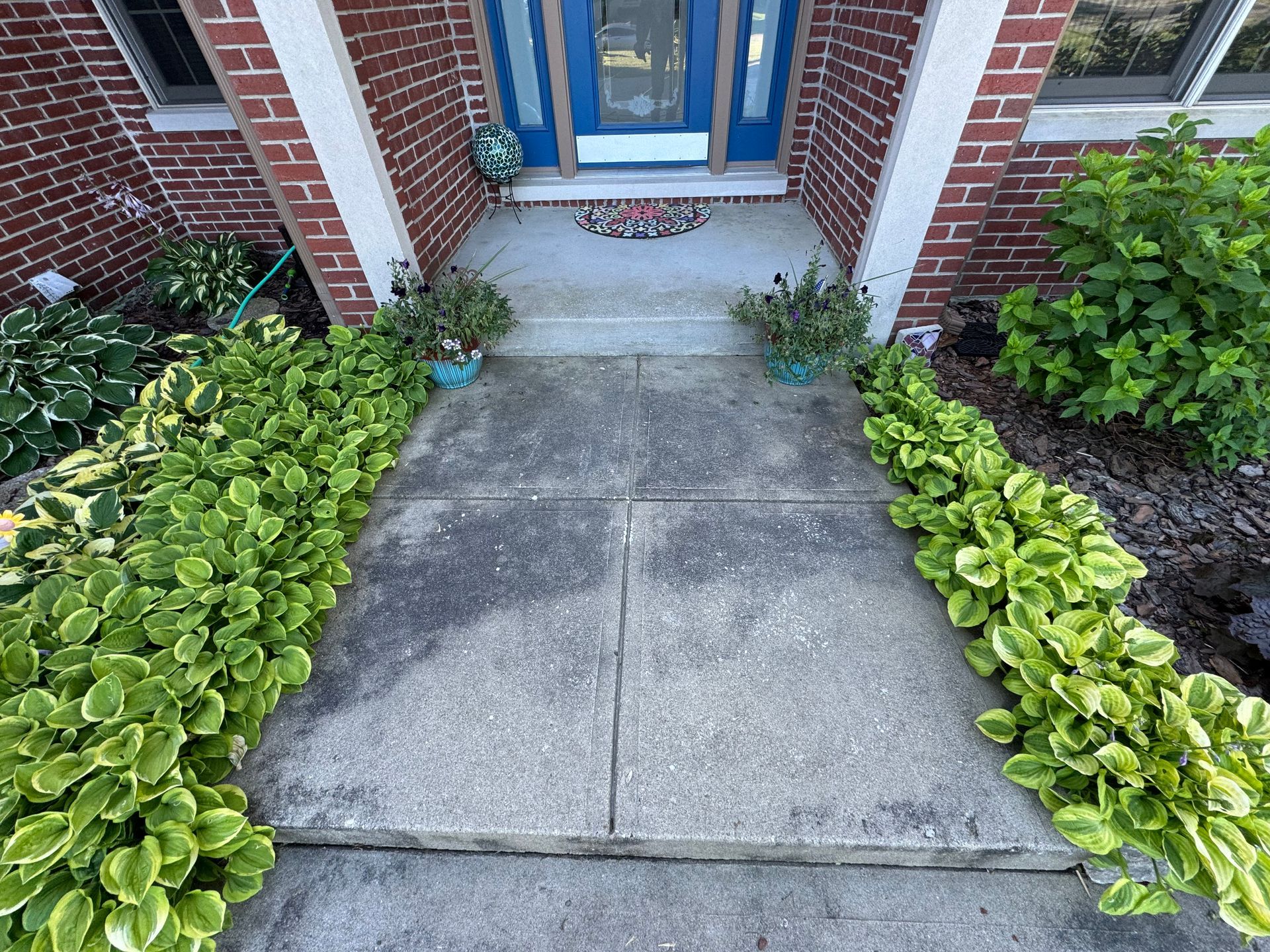 before pressure washing