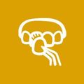Veneers Icon — Hobart, TAS — Moonah Dental Centre