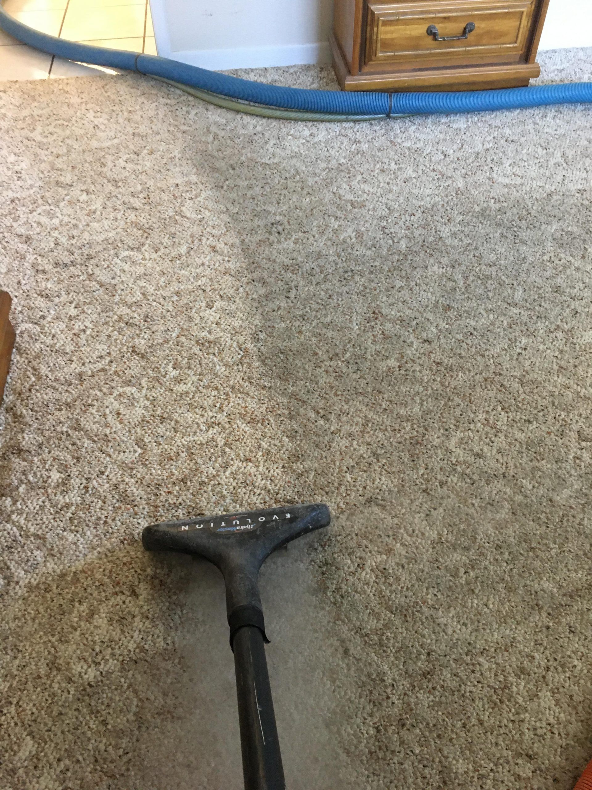 Carpet Cleaning — St. Petersburg, FL — Dynamic Steam Carpet Cleaners