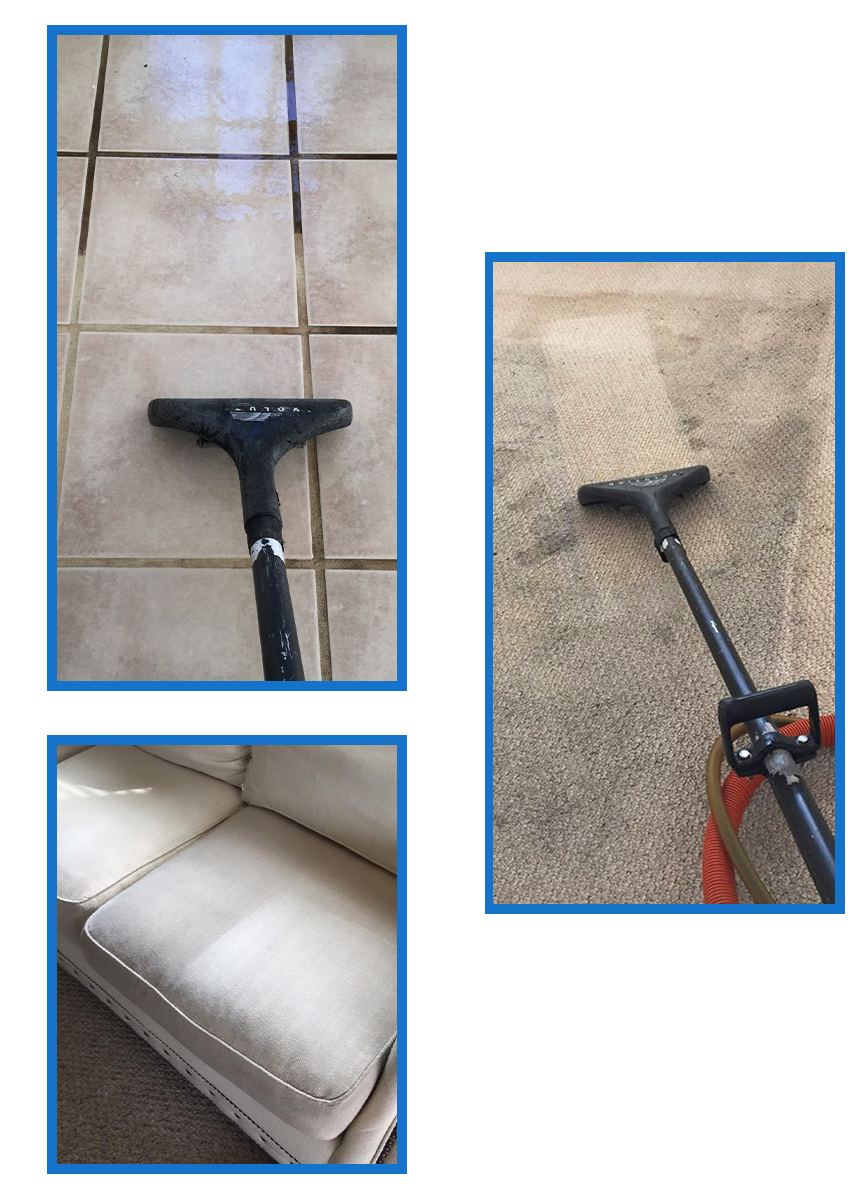 Carpet Cleaning Samples — St. Petersburg, FL — Dynamic Steam Carpet Cleaners