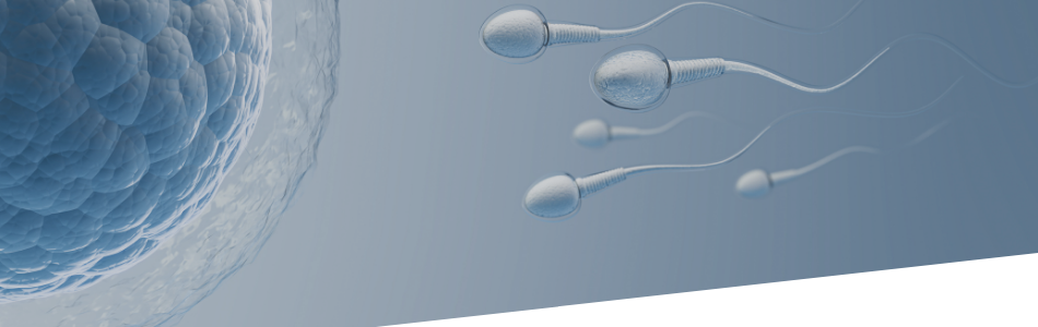 Spermiogramma esami fertilità maschili