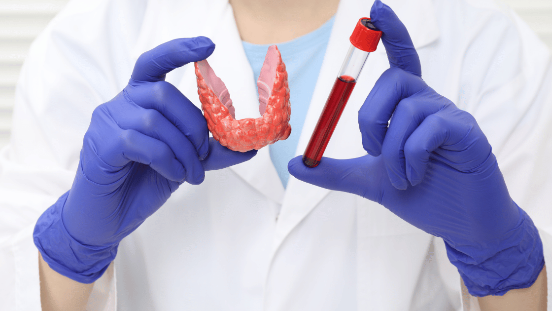 FT3: cos’è la triiodotironina libera, quali sono i valori normali nel sangue e cosa indicano livelli
