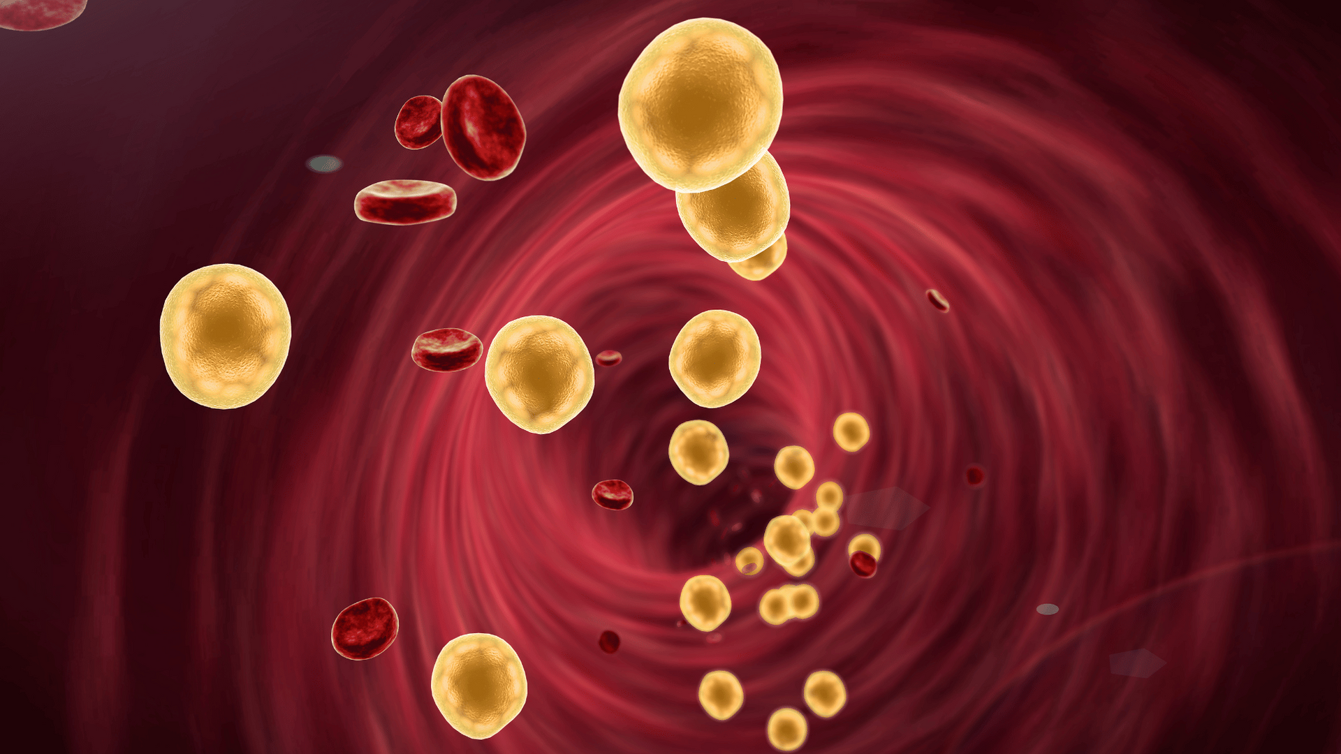 Colesterolo HDL: cos’è, valori normali e come eseguire l’esame del sangue