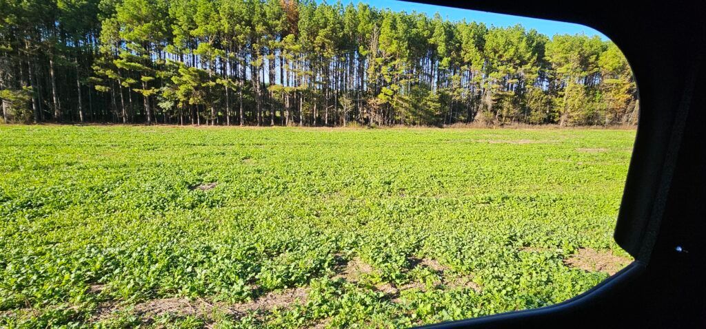 Green field seen through a vehicle window with trees along the horizon